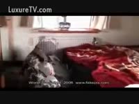 A [ Beastiality XXX and Animal Sex ] [ Beastiality XXX and Animal Sex ] floozy fucked by Dalmatian